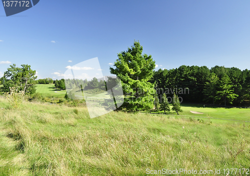 Image of summer landscape