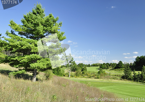 Image of summer landscape