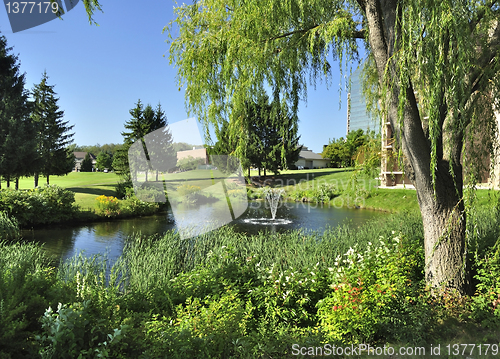 Image of summer landscape with pond 