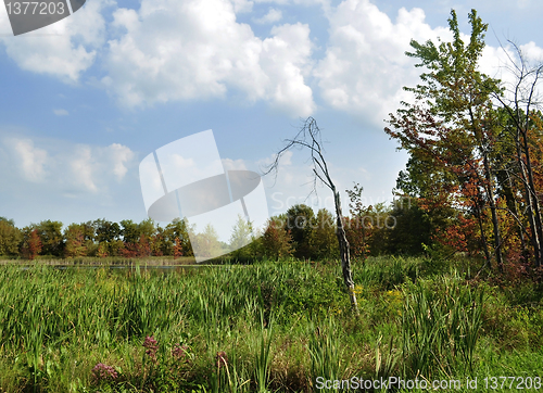 Image of fall  landscape 