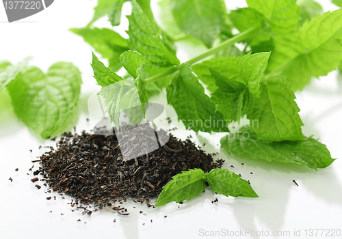 Image of tea composition