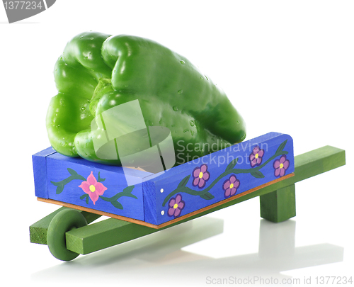 Image of decorative blue wheelbarrow with green pepper 