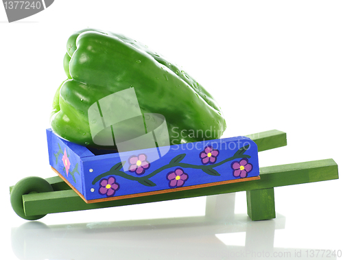 Image of decorative blue wheelbarrow with green pepper