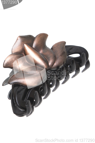 Image of Pin hair.