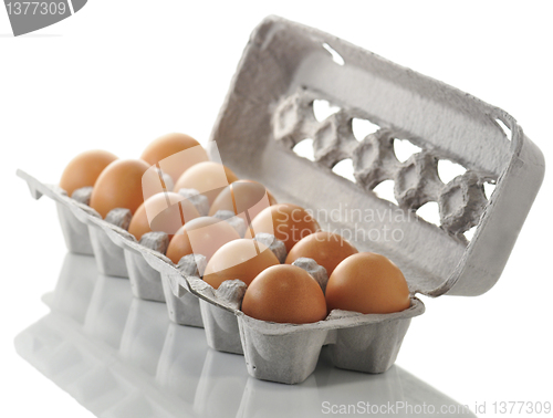 Image of eggs