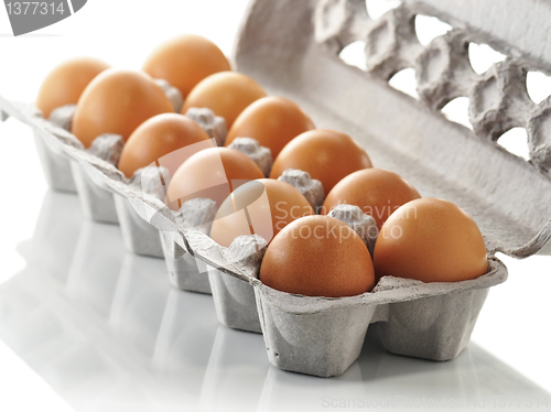 Image of eggs