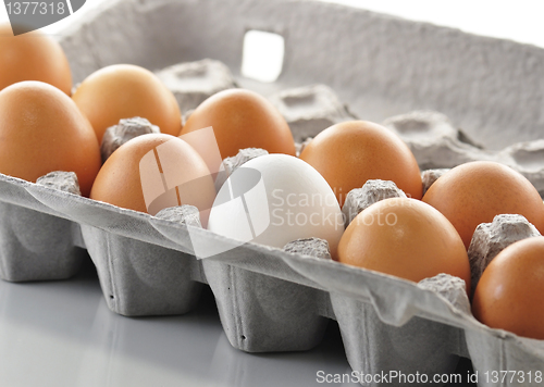 Image of eggs