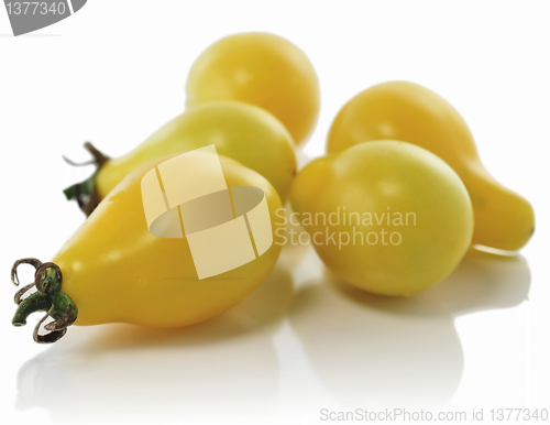 Image of yellow tomatoes 