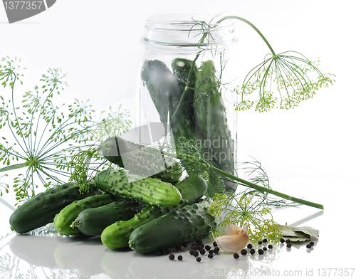 Image of Pickle ingredients