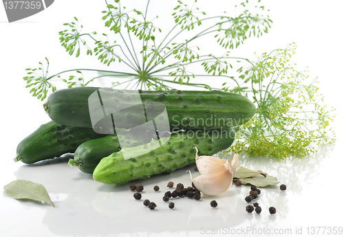 Image of Pickle ingredients