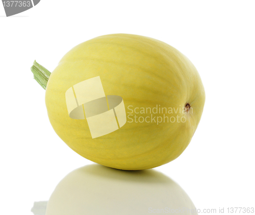 Image of decorative gourd