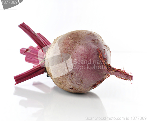 Image of beet 