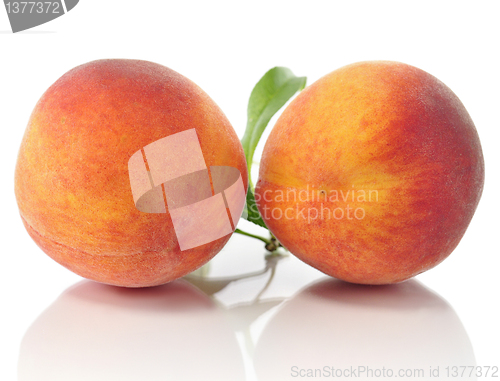 Image of peaches