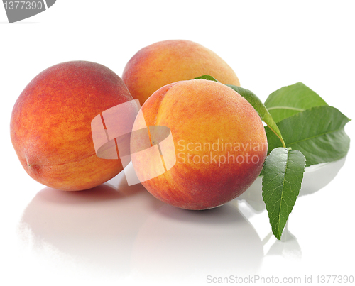Image of peaches