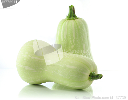 Image of summer squash