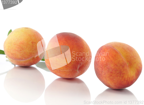 Image of peaches
