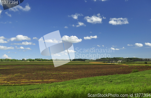 Image of country summer landscape