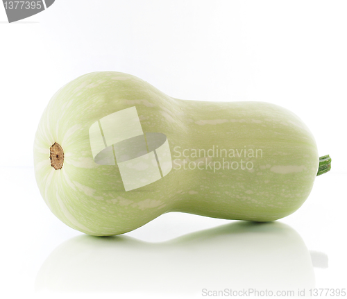 Image of summer squash