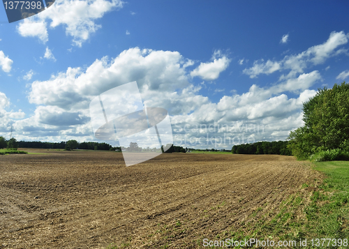 Image of country summer landscape
