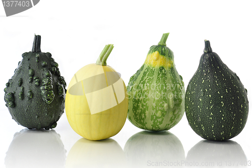 Image of gourds