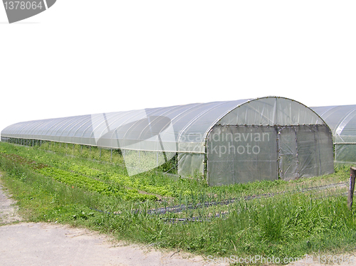 Image of Greenhouse picture