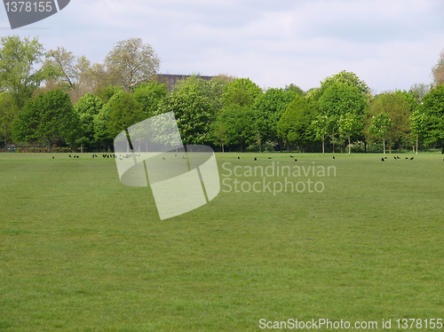 Image of Urban Park