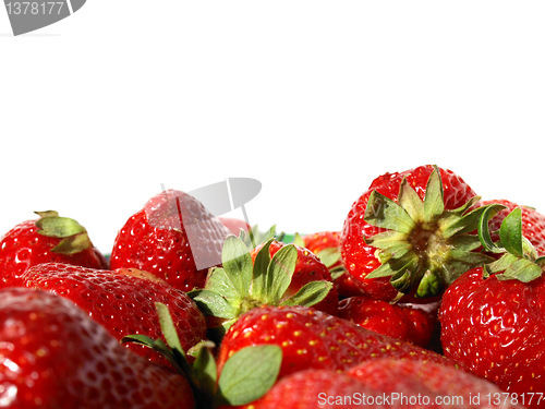 Image of Strawberry