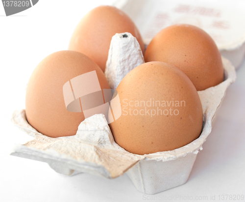 Image of Eggs picture