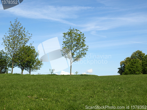 Image of Primrose Hill, London