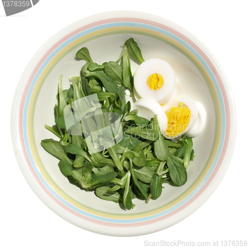 Image of Salad picture