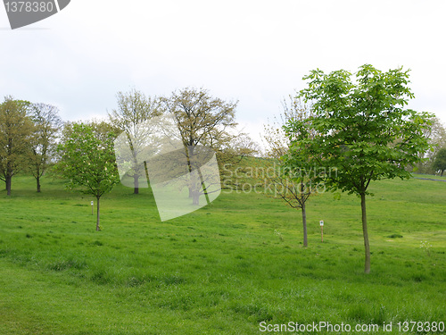 Image of Primrose Hill London