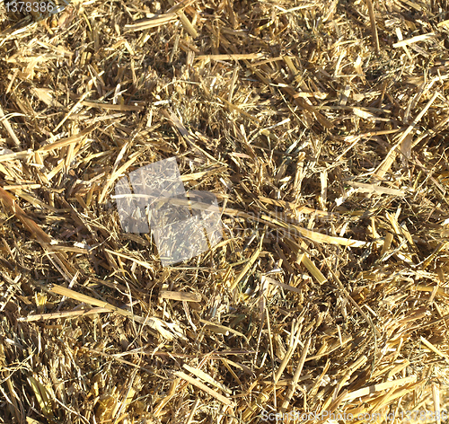 Image of Straw picture