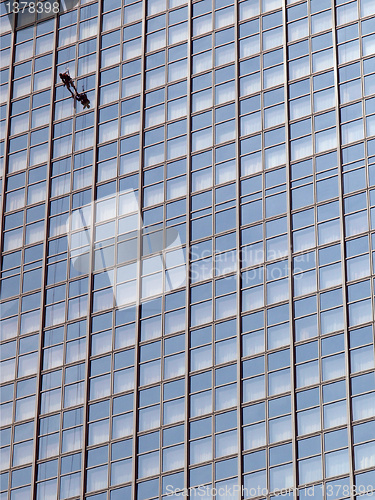 Image of Window cleaner