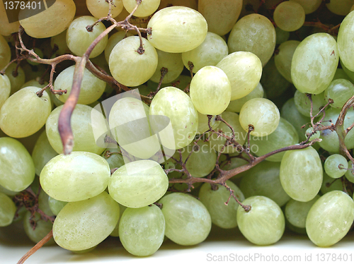 Image of Grape picture