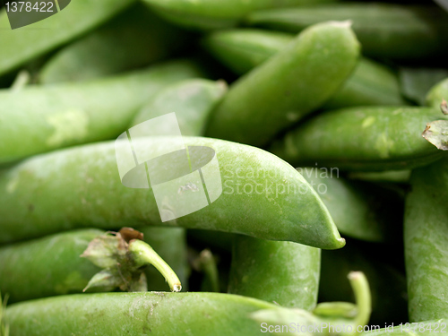 Image of Pees picture