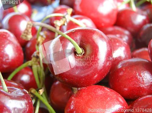 Image of Cherry picture