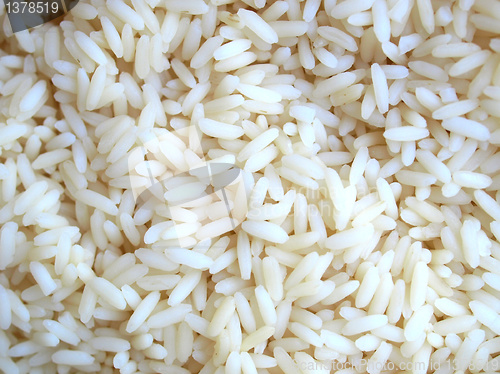 Image of Rice picture