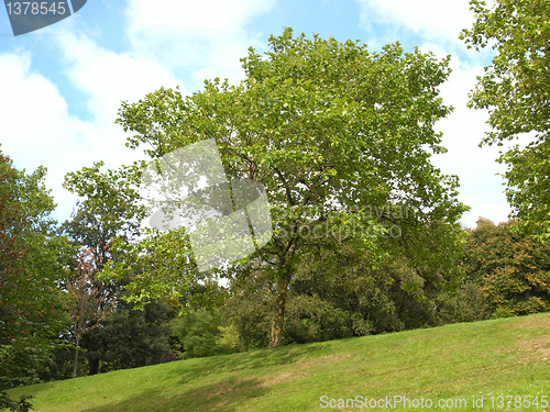 Image of Kelvingrove, Glasgow