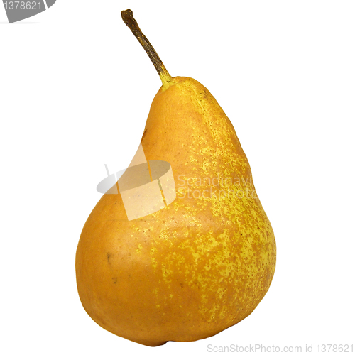 Image of Pear picture