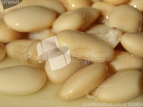 Image of Beans salad