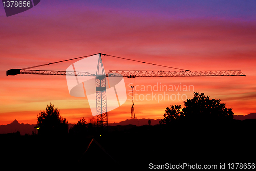 Image of Crane picture