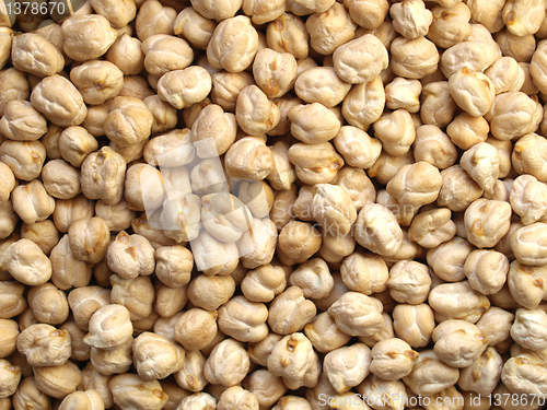 Image of Chickbeans picture