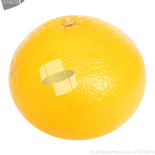 Image of Grapefruit picture
