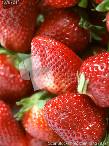 Image of Strawberry