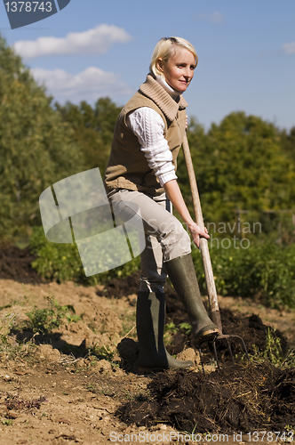 Image of Gardening