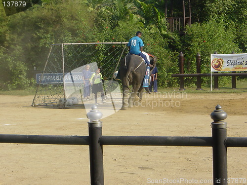 Image of Elephant Show