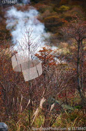 Image of Hakone hot springs