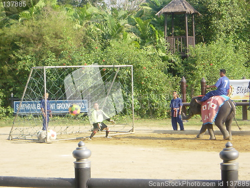 Image of Elephant Show