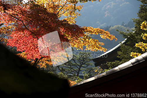 Image of mausoleums of the Tokugawa Shoguns