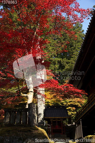 Image of mausoleums of the Tokugawa Shoguns